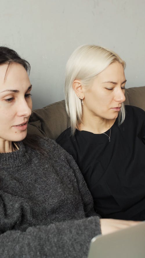 有关一起, 动物, 在家的免费素材视频