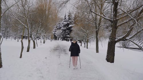 有关公园, 冬季, 冬衣的免费素材视频