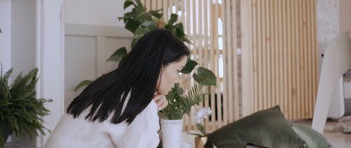 有关互联网, 在家工作, 女人的免费素材视频