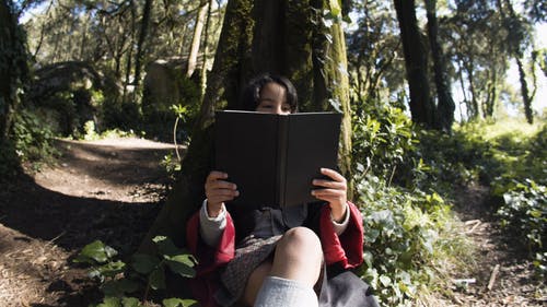 有关人物, 低角度拍摄, 哈利波特的免费素材视频