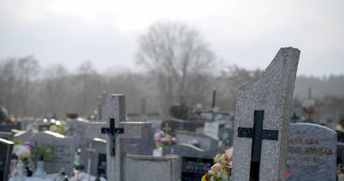 有关下雪的, 下雪的天气, 冬季的免费素材视频