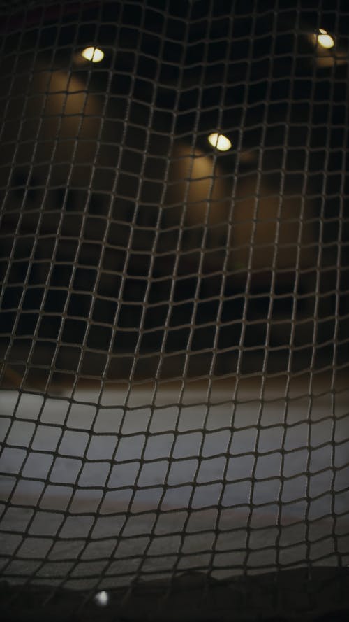 有关冰, 冰球, 垂直视频的免费素材视频