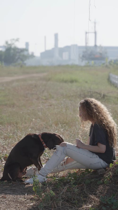 有关人, 伴侣, 地面的免费素材视频