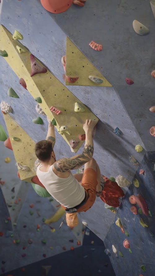 有关人, 垂直视频, 娱乐的免费素材视频