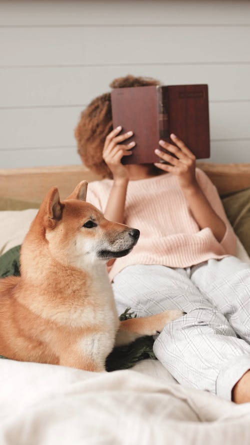 有关呆在家里, 回家时间, 在家的免费素材视频