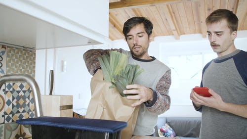 有关一起, 同志, 家的免费素材视频