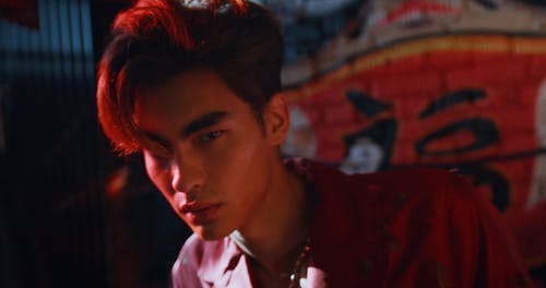 有关人, 多莉射击, 大头贴的免费素材视频