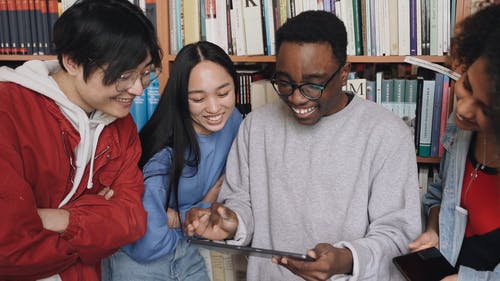 有关互动, 图书馆, 多样化的免费素材视频