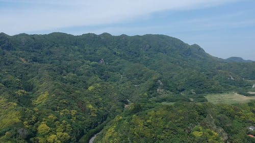 有关天性, 天空, 屋顶的免费素材视频