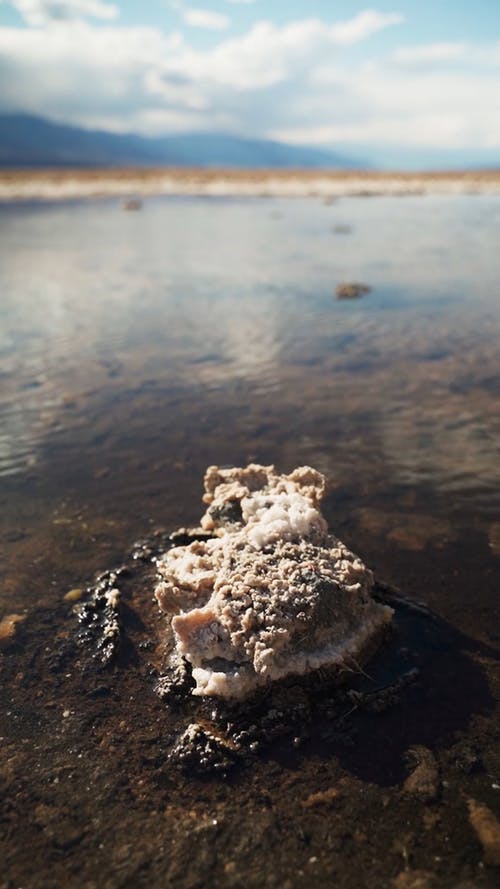 有关@户外, 低潮, 低角度拍摄的免费素材视频