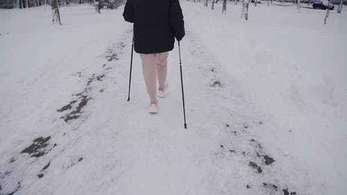 有关人, 光秃秃的树木, 公园的免费素材视频