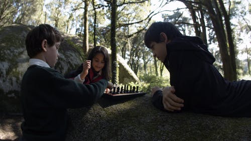 有关人物, 哈利波特, 天性的免费素材视频