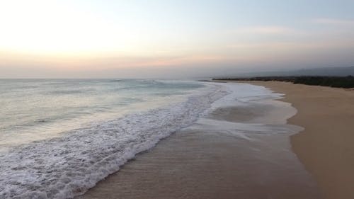 有关天性, 户外, 招手的免费素材视频