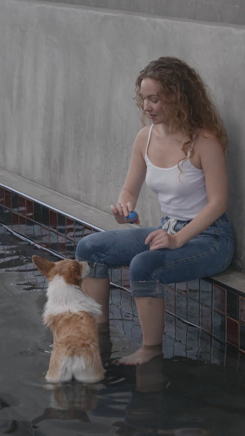 有关互动, 动物, 友谊的免费素材视频