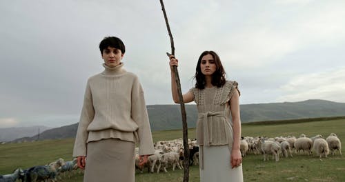 有关严肃, 女性, 家畜的免费素材视频