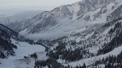 有关下雪的, 冬季, 冬季景观的免费素材视频