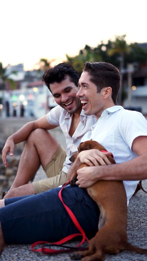 有关一对, 同志文化, 同性的免费素材视频