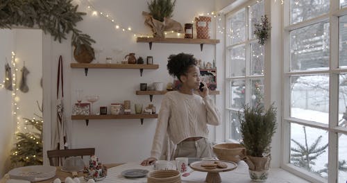 有关人, 假日季节, 假期的免费素材视频