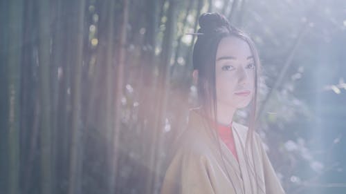 有关和服, 夏天, 天性的免费素材视频