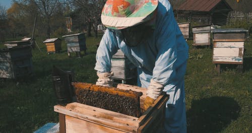 有关养蜂业, 养蜂人, 养蜂人套装的免费素材视频
