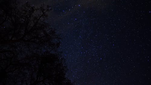 有关剪影, 天性, 天文学的免费素材视频