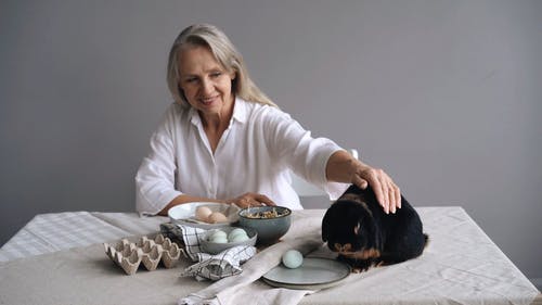 有关坐, 女人, 室内的免费素材视频