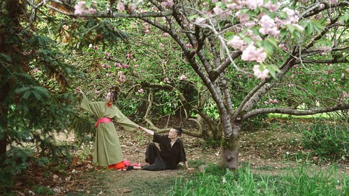 有关一对, 传统服饰, 公园的免费素材视频