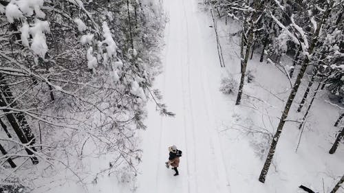 有关一对, 下雪的, 冬季的免费素材视频