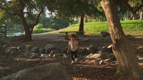 有关公园, 夏天, 小孩的免费素材视频