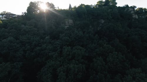 有关fpv, 天性, 景观的免费素材视频