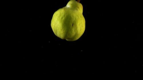 有关埋, 天气好, 宏观的免费素材视频