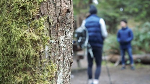 有关互动, 休闲, 健行的免费素材视频