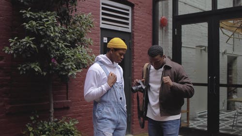 有关创作过程, 导演, 户外的免费素材视频