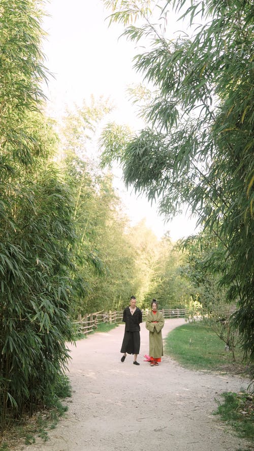 有关一对, 一起, 人的免费素材视频