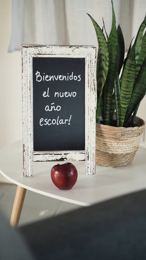 有关回到学校, 垂直视频, 外框的免费素材视频