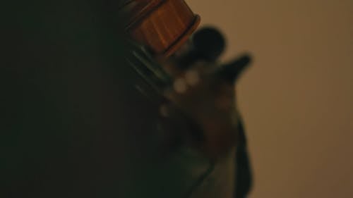 有关小提琴, 弓, 弦乐器的免费素材视频