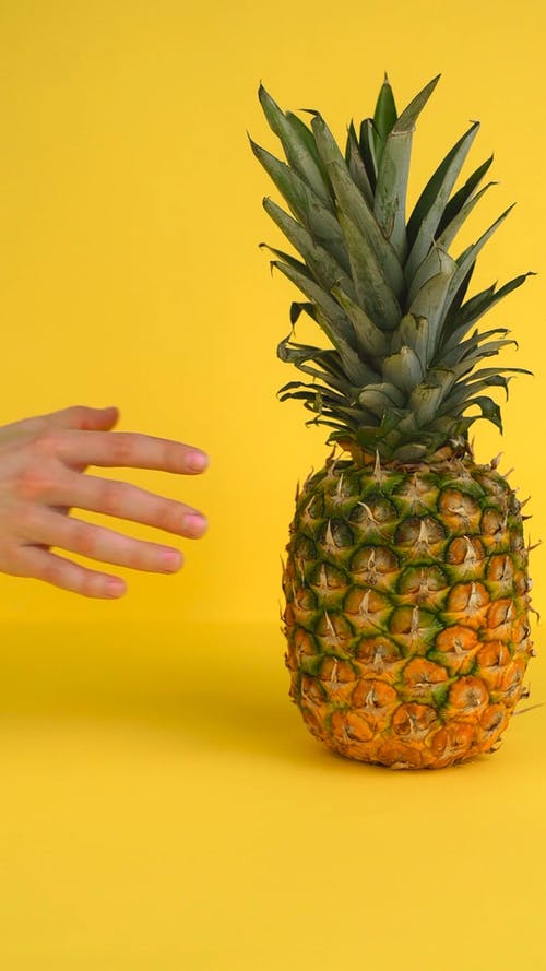 有关健康, 充满活力, 可口的免费素材视频