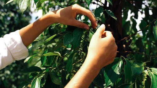 有关匆忙, 工厂, 手的免费素材视频