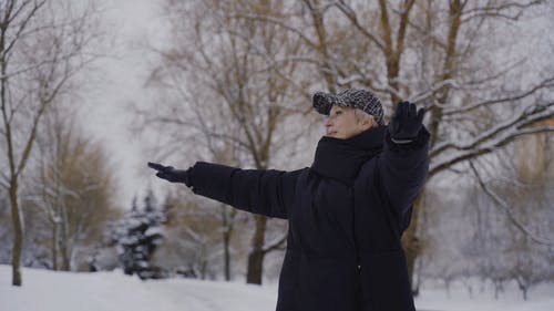 有关伸展, 光秃秃的树木, 公园的免费素材视频