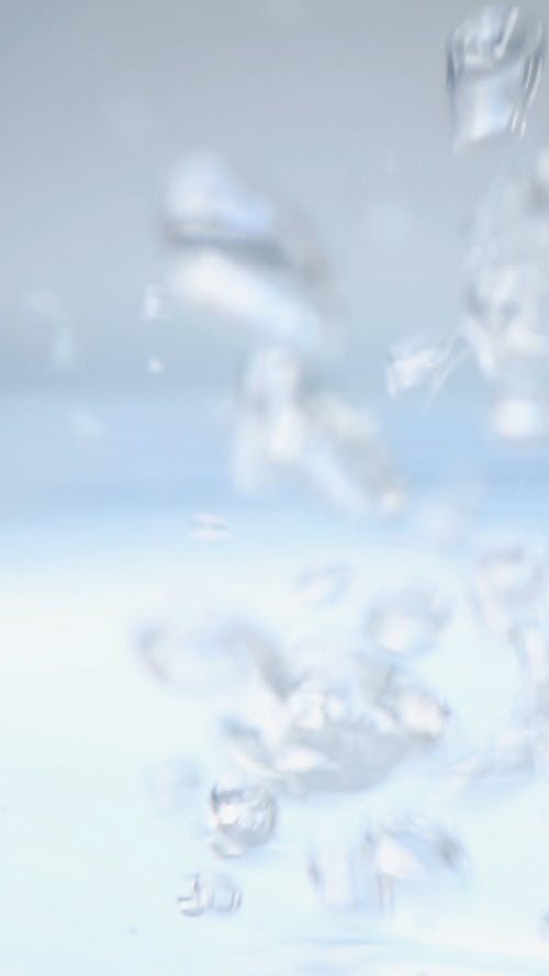 有关H2O, 垂直视频, 水下的免费素材视频