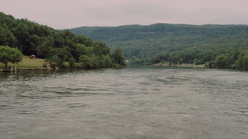 有关天性, 户外, 树木的免费素材视频