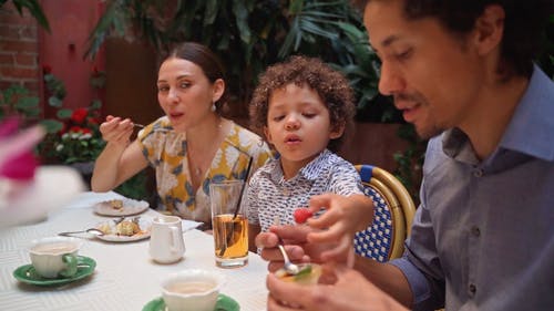 有关吃, 坐, 室内植物的免费素材视频