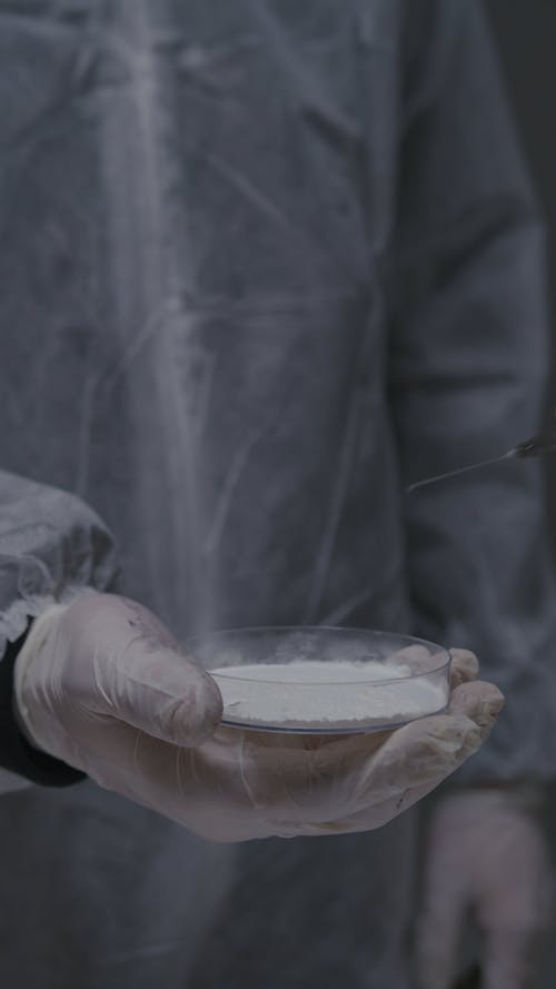 有关专家, 低角度拍摄, 加入的免费素材视频