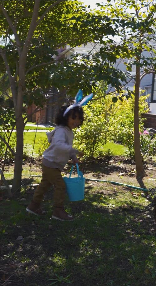 有关兔子, 垂直视频, 寻找彩蛋的免费素材视频