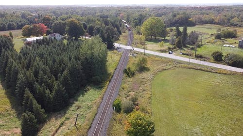 有关列车, 平移拍摄, 树木的免费素材视频