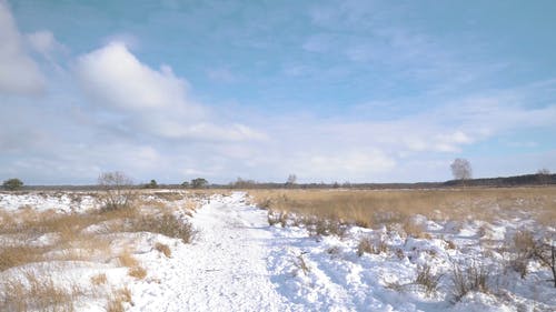 有关冬季, 大雪覆盖, 天性的免费素材视频