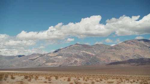 有关乾旱, 半沙漠, 天性的免费素材视频
