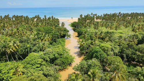 有关天性, 岸边, 户外的免费素材视频