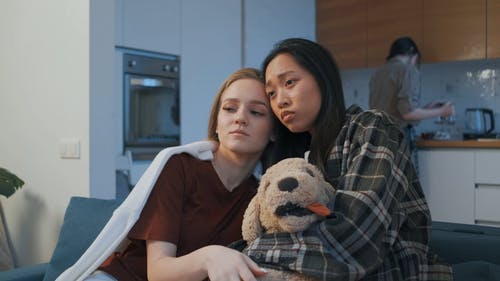 有关＃室内, 东西玩具, 分手后恢复的免费素材视频