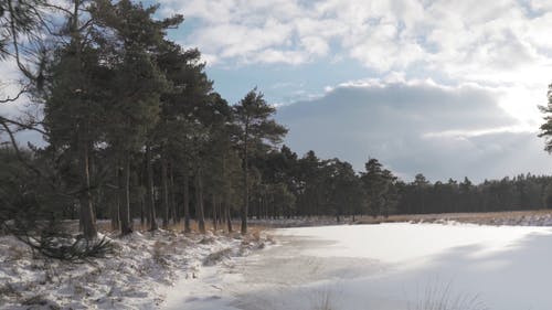 有关下雪的天气, 冬季, 冬季景观的免费素材视频